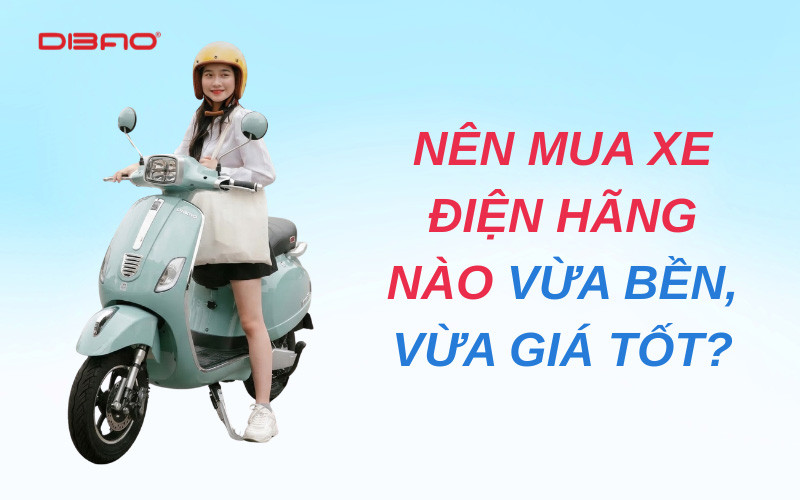 Nên mua xe điện hãng nào vừa bền, vừa giá tốt?